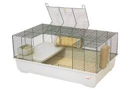 Black And White Syrian Hamster For Sale Marchioro Goran 82 Cage For Small Animals 32 25 Inches Beige Green Best Hamster Cage Small Pets Cool Hamster Cages Hamster Cage