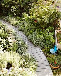 Plant Life Judy Sederof The Planthunter Garden Landscape Design Australian Garden Most Beautiful Gardens