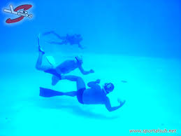 Image result for underwater rugby cali colombia 2015