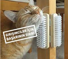 Basit Olan E Etkisidir Derler Her Girisim Bir Hedefle Var Olur O Da Satis Yapmak Ister Bir Urun Satin Ister Hizmet Sunun I Girisimcilik Fikirler Girisimci