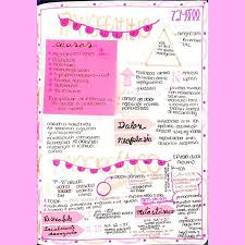 Pin On Anatomia