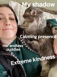 10 Reasons Why I Adore My Kitty: A Loving Tribute