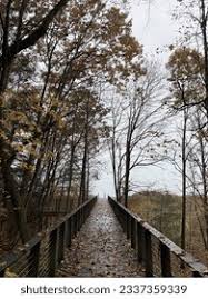 Cartera de fotos e imágenes de Renee Pedigo