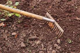 › where to buy acidic soil. How To Make Soil Acidic Happy Diy Home