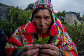 Strongly rejecting the presence of pachamama in the vatican, the bishop continues: Giving Thanks To Pachamama A Glimpse Into A Pre Inca Shamanic Ritual