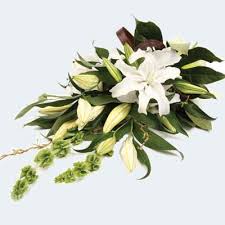 Maybe you would like to learn more about one of these? Flowers Tauranga Florists Tauranga Mt Maunganui Bayfair Florist
