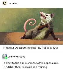 The possum drop is any one of several new year's day celebrations in which a possum is lowered from height at midnight. Over The Hedge 2006 Tumblr