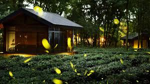 抗战中的文艺丨方寸间的精神战场点燃民族觉醒火炬- 中国日报网