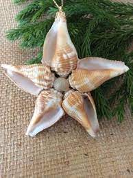 Fighting conch shell crafts turtle. 18 Best Fighting Conch Crafts Ideas In 2021 Fighting Conch Shell Crafts Seashell Crafts