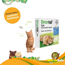 Jakarta barat wholesale pet supplies (10) tambah ke wishlist. Toko Online Wholesale Pet Supplies Shopee Indonesia