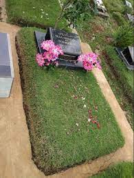 Maybe you would like to learn more about one of these? 9 Tanaman Yang Cocok Untuk Menghiasi Kuburan Makam Kebunbibit Id