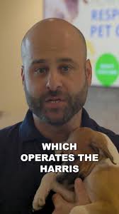 Let's hear from our Veterinary Public Health director, Corey Steele for  World Rabies Day! 💉, Owning a pet means protecting them—and that includes  preventing deadly diseases like rabies. Vaccinating ...