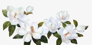 Gardenia White Flower Green Leaves Png Transparent Clipart Image And Psd File For Free Download Tatuajes Flores Pequenas Flores Pintadas Marcos Para Fotos De Boda