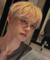 World of Korean BL Series