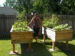 Build A Cheap Raised Bed From Pallets Vegetable Garden Raised Beds Garden Boxes Raised Above Ground Garden