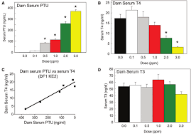 The pursuit of a shadow 3. Ptu And Thyroid Hormone Th Levels In Maternal Serum Df1 And Ke2 Download Scientific Diagram