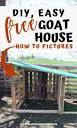 DIY, Easy, Free Goat House with Pictures | A life of Heritage