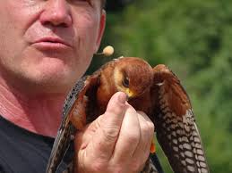 Not my Jupiter photo but my reworked poem from last year. I hope you like  it. Wishing you all a very merry Christmas and a happy new year. Thank you  all for