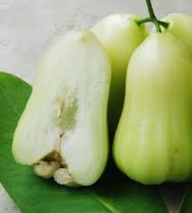 Karena tanaman ini merupakan khas daerah tropis asia tenggara. Jambu Air Madu Deli Semanis Madu Bebeja Com