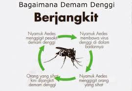 Sila ambil langkah bijak untuk kesihatan anda. Amazingshaklee Nora Tiada Aedes Tiada Denggi