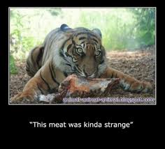 Try not laugh funny animals' life video.dogs are awesome animals. Funny Pictures Of Animals Funny Wild Life Animal Funny Animals