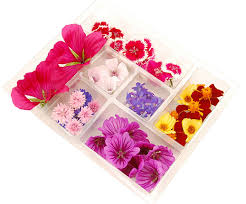 Where can i buy edible flowers? Fresh Edible Flowers Selection Greens Of Devon