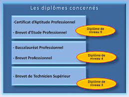 Diplome De Niveau 4 Brevet Professionnel