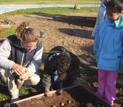 USFWS Refuge Update January/February 2013