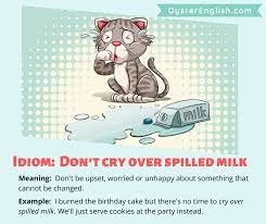 → cryexamples from the corpuscry over spilt milk• it is now too late to. Cry Over Spilled Milk