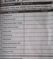 Susunan tulang kaki manusia terdiri dari tulang betis (fibula), tulang paha, dan tulang kering (tibia). Kak Tolong Dijawab Soal Ini Dengan Baik Dan Benar Soal Ini Tdk Main Tolonggg Ya Kak Dijawab Brainly Co Id