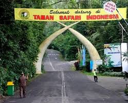 Setelah sebelumnya membangun tradisional house bungalow zebra, safari lodges dan caravan, tutup dia. Menikmati Keindahan Dan Keseruan Taman Safari Indonesia Di Cisarua Bogor Kabupaten Bogor