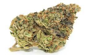 Origins of gelato 33 weed strain. Gelato Is The Best Strain Ever Try And Change My Mind Leafly