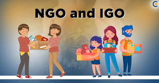 Nongovernmental organization (ngo), voluntary group of individuals or organizations, usually not affiliated with any government, that is formed to provide services or to advocate a public policy. Ngo And Igo Things You Need To Know Corpbiz