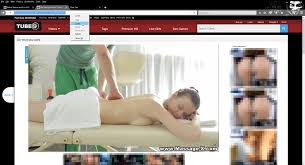Web Gallery Downloader - how to download videos from Tube8.com