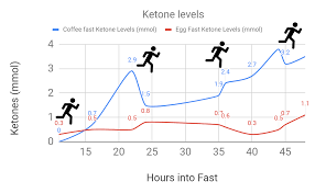 optimal ketosis how i tracked my blood ketone and glucose