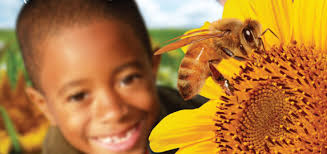 Bee a Sweet Christian