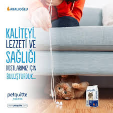 Petquitte Markali Urunlerimizi Dostlarimizin Saglikli Beslenmesi Icin Ihtiyac Duyduklari Kaliteli Ve Sindirilebilirligi Yuksek Hammaddeler Ku Cat Food