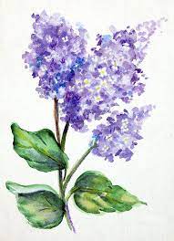 Lovely Lilacs By Pattie Calfy Watercolor Flowers Paintings Lilac Painting Watercolor Art