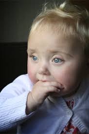 PRISMS 2009 Annual Report