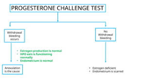 Image result for Progesterone Challenge Test