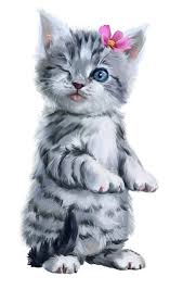 madre imagenes imagenes madre cute kittens sevimli hayvan yavrulari hayvan duvar kagidi