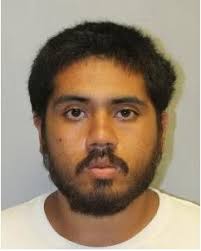 How to find current Hilo crime statistics and map