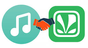 Jiosaavn Download Jiosaavn App Jiosaavn Subscription Jiosaavn Apk