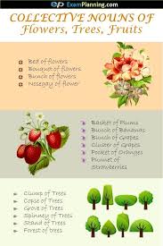 Collective Nouns Of Flowers Trees Fruits Collective Nouns Nouns Good Grammar