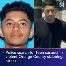 Police are searching for a teen suspect accused of stabbing a man during a  violent group assault in Orange County. Details: https://trib.al/mNCqJj0