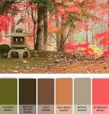 Asian Color Capture