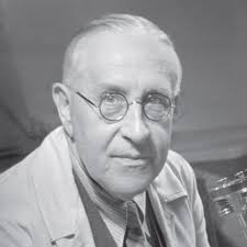 Victor Franz Hess Observatory