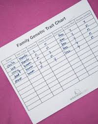 Explore Genetics By Finding Family Traits Life Science Middle School Genetics Lesson Middle School Life Science Activities