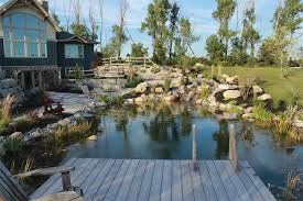 If you want to convert the existing garden pond into a natural swimming pool, you may only need to desilt it, clean it, add specific types of plantation and provide a way to circulate the water. Swim Ponds The Au Naturel Backyard Pool Spa Marketing