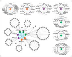 Jest więc równa liczbie atomów wodoru przy atomie azotu zastąpionych atomami węgla. Ampk Interactome Reveals New Function In Non Homologous End Joining Dna Repair Molecular Cellular Proteomics